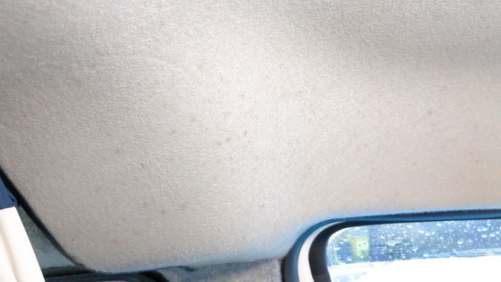 Mould on the cab headliner of a van