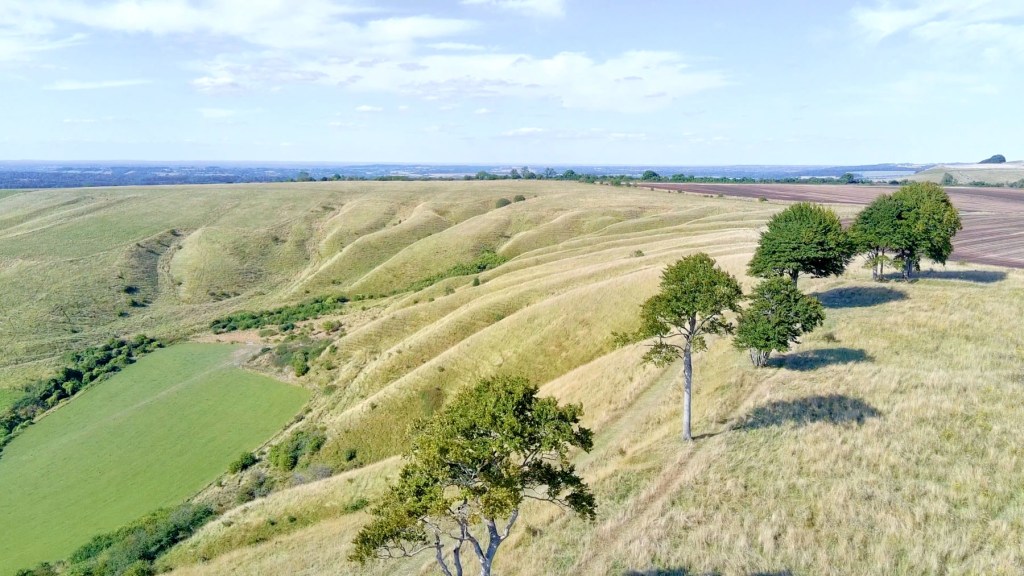 Potensic Atom 4k Drone image quality